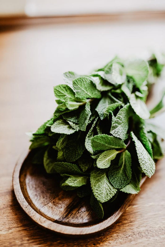 Menta